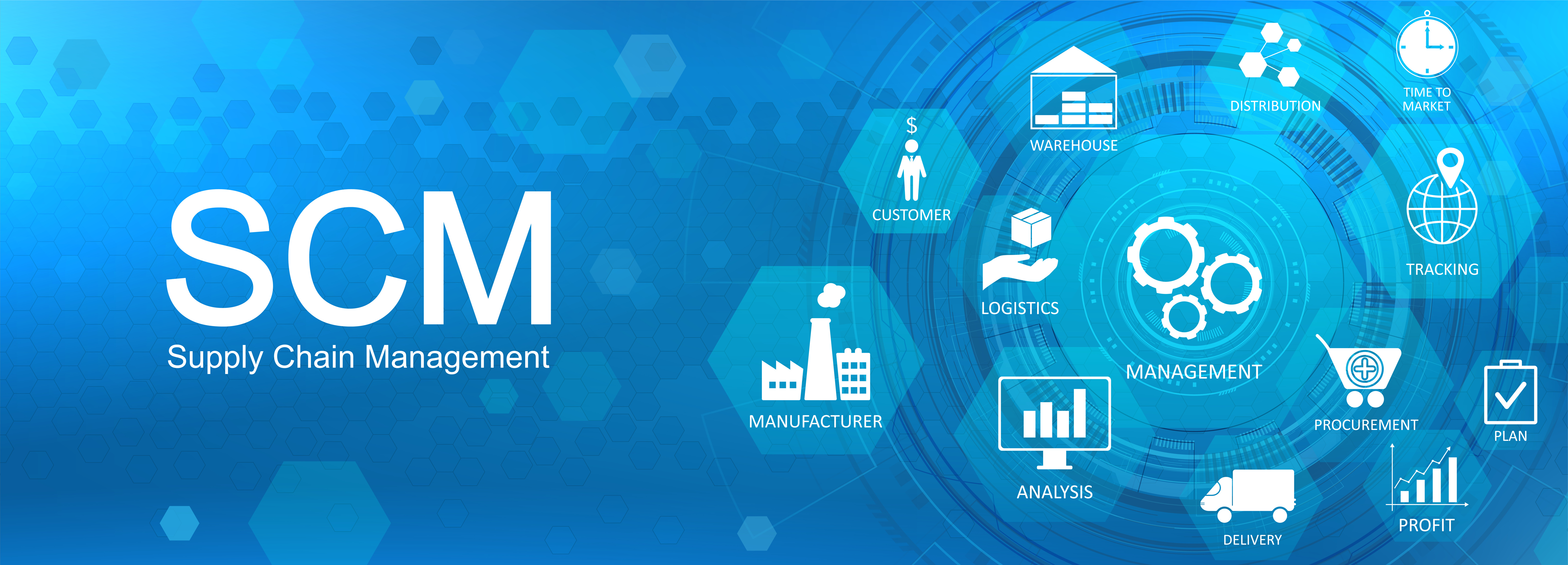 What is Supply Chain Management Software?