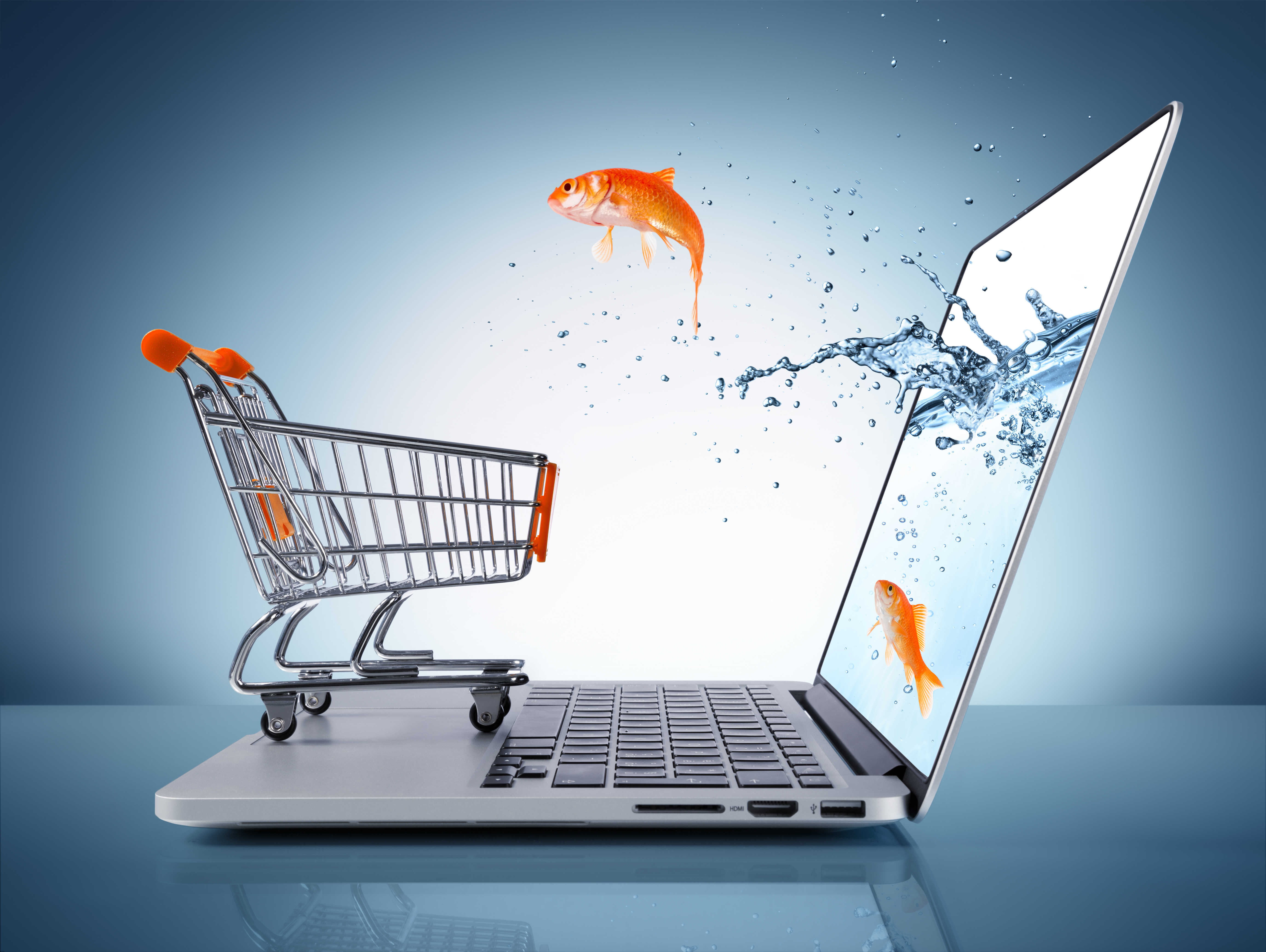 E-commerce Fast Facts in Five Minutes