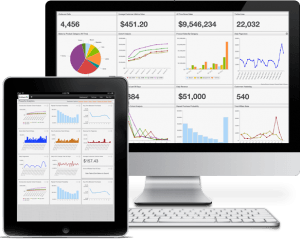 Business Intelligence Web Portal Basics