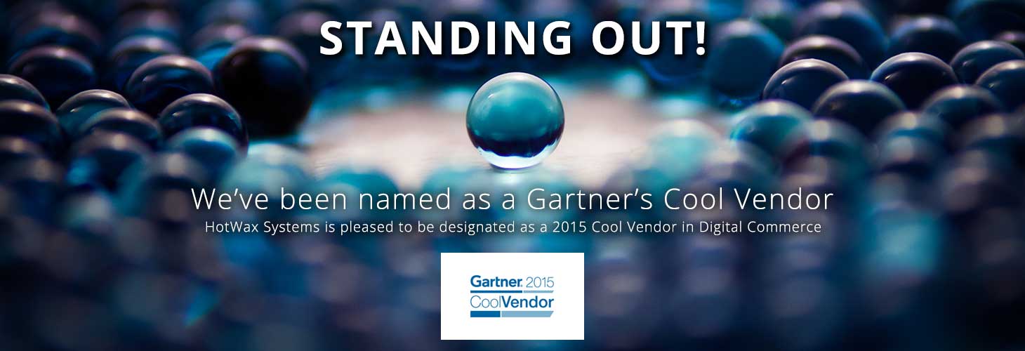 Gartner VP & Fellow Daryl C. Plummer on Cool Vendors 2015 (We are one of them!)